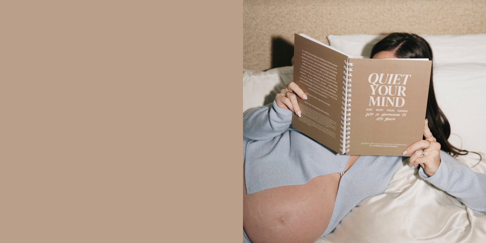 Pregnancy_Journal_Edition.png